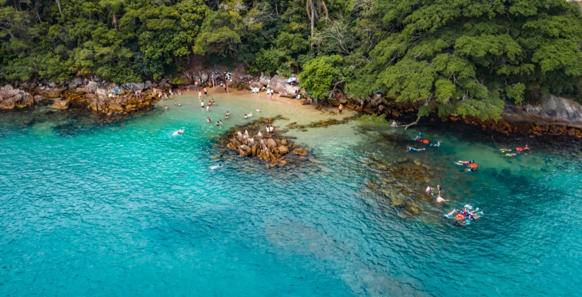 Zimbros, foto de capa
